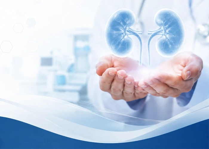 Kidney failure treatment consultation with nephrologist